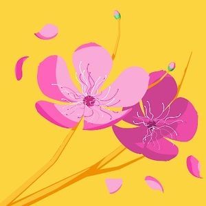 Meet your Posher, Estefania